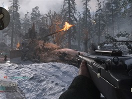 Call of Duty: WWII (Private Beta)