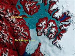 Brüggenv ledovec v jiní Patagonii (známý i jako ledovec Pio XI) se mezi roky...