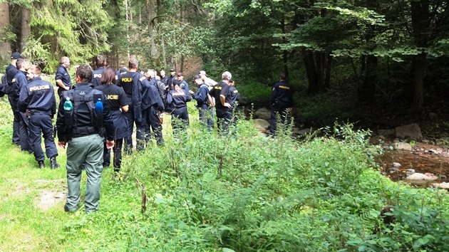 Do ptrn se zapojilo sedm destek policist a hasi, kte proesvali nepehledn tern.