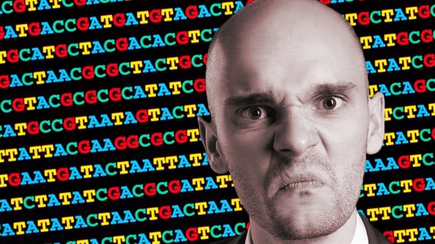 Rasisté si nechávají d�lat DNA testy, aby si potvrdili, �e mají jen evropské...