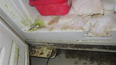 Restaurace nemají potíže jen s kvalitou ledu. Hygiena pokulhává takřka ve všech oblastech. Kuchyně bývají špinavé a porostlé plísní, někde lze najít myší trus. 