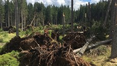 N�které turistické stezky a cyklotrasy v Národním parku �umava jsou po...