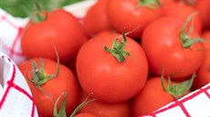 Raj�atová sezona je v plném proudu.