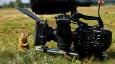 Pesná místa promítání vak zstávají do poslední chvíle utajena. ivé kino v...