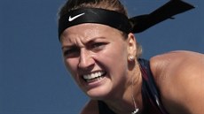 Petra Kvitová v prvním kole US Open uspla proti Srbce Jelen Jankoviové.