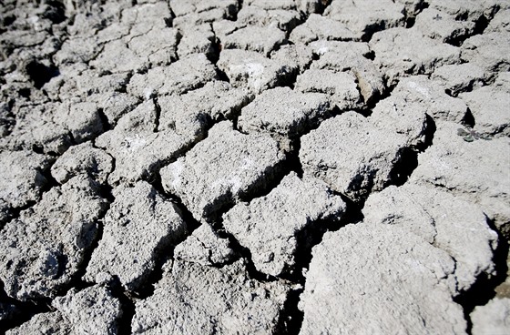 Ped dvma lety  v srpnu vyschl i poslední, tetí pibický rybník v Pibicích...