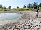 P�ed dv�ma lety v srpnu vyschl i posledn�, t�et� p�ibick� rybn�k v P�ibic�ch na...