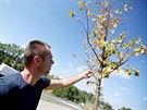 Není ím zalévat a stromky schnou ped oima, ukazoval v srpnu ped dvma lety...