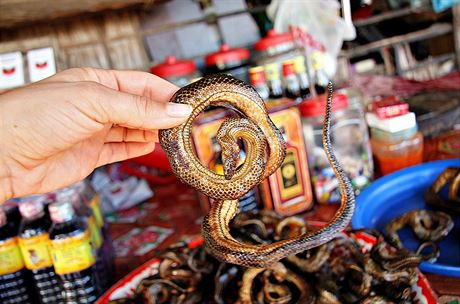 Suen hady prodvaj v Kambodi tm na kadm rohu.