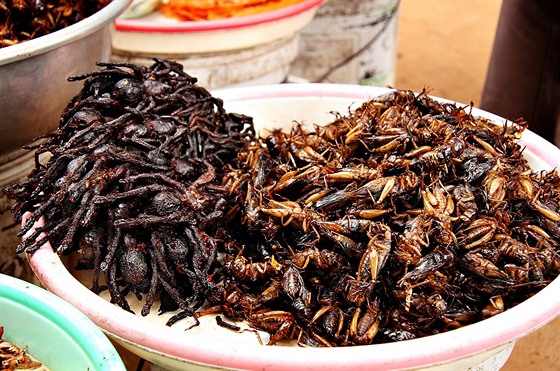 Jen pro otrlé aneb velká kambodžská specialita v podobě smažených tarantulí.