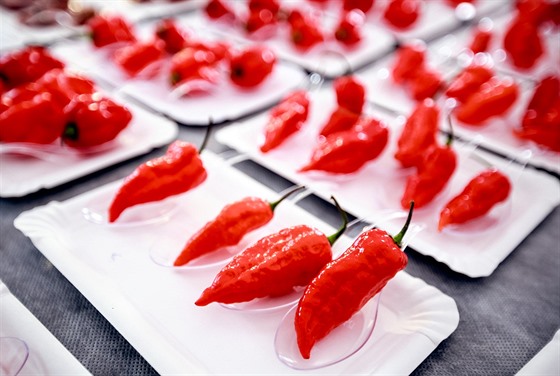 ilustra�ní snímek