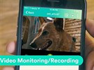 Mobilní aplikace sleduje psa a mete si i natáet videa.