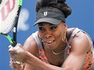Sedmaticetiletá Venus Williamsová bez problém prola do osmifinále US Open....