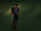 OBR VE TM. Juan Martin del Potro bhem osmifinále US Open s Dominikem Thiemem.