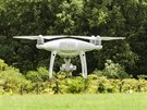 Dron spole�nosti EASYmap vyr�� k oblasti porostl� bol�evn�kem. 