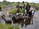 SPLA-IO (SPLA-In Opposition) rebels drink water from a pond after an assault...