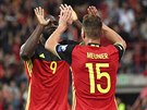 Thomas Meunier a Romelu Lukaku oslavují belgický gól.