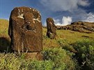 Velikononí ostrov  Kráter Rano Raraku  místo, kde sochy moai vznikaly