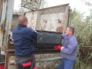 Odvoz uhynul�ch ryb do kafilerie.
