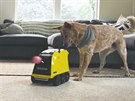 Robotický páníek pro psa: Anthouse