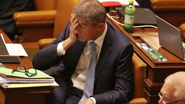 Poslanci ANO Andrej Babi� a Jaroslav Falt�nek b�hem jedn�n�, na kter�m jejich kolegov� rozhodnou o st�h�n� (6. z��� 2017).