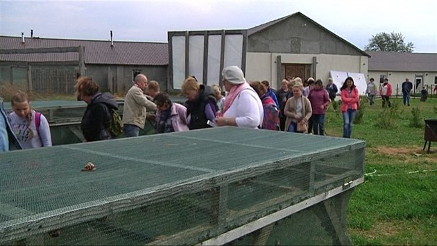 Exkurze na Sergejov hlemd farm nedaleko Moskvy.