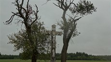 Mj první maraton  velké obavy, opoutní starého a mysterium poezie