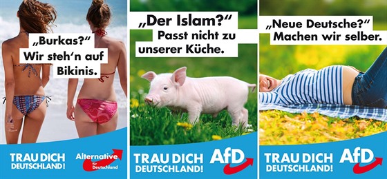 Předvolební plakáty německé AfD