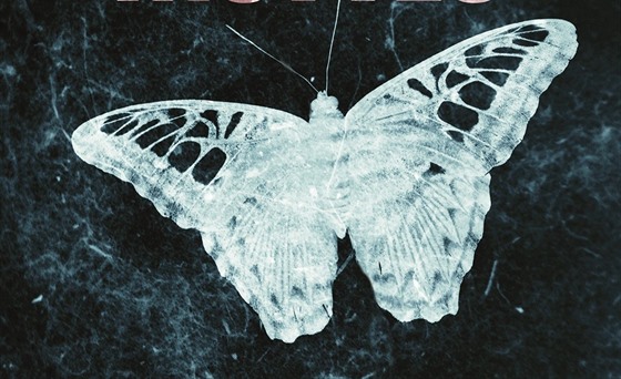 Obálka knihy Sbratel motýl