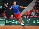Tenista Luká Rosol v souboji o udrení v elitní skupin Davis Cupu v...