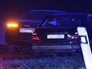 U Lechovic na Znojemsku veer havarovalo auto s lovkem, který patí mezi...