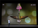 Nová Apple TV pináí podporu 4K a HDR obrazu.