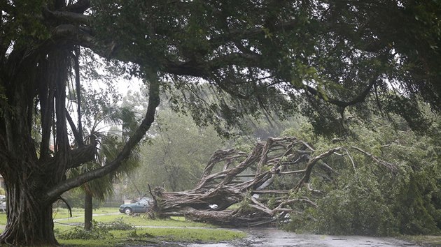 Hurikán Irma se přesunuje na Floridu (10. září 2017).