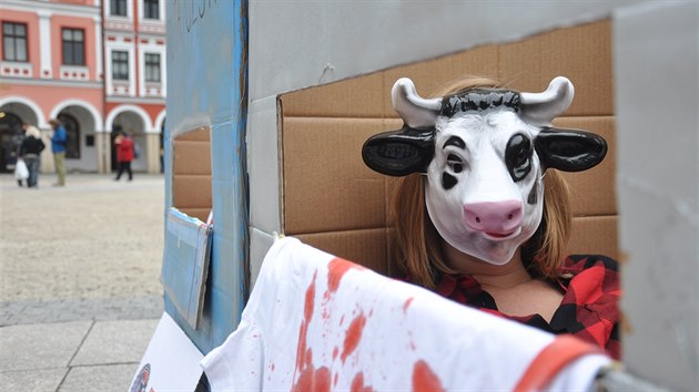 Aktivisté s maskami vepře či krávy seděli ve středu odpoledne na dlažbě libereckého náměstí v papírových krabicích, které měly představovat návěs kamionů.