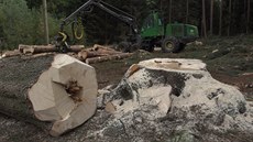 Projeli jsme s harvestorem na kácení strom