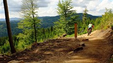 Traily nechaly vybudovat Lesy �eské republiky. Podobu tratí vymysleli bike�i z...