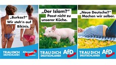 P�edvolební plakáty n�mecké AfD