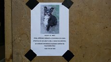 Lidé hledají, to co se jim ztratilo, r�znými výlepy na ve�ejných místech.