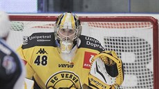 Litvínovský branká� Michael Petrásek v akci.