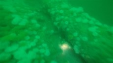 Belgití potápi objevili zachovalý vrak prvoválené ponorky
