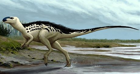 Rekonstrukce moné podoby prvního eského dinosaura, který dostal jméno...