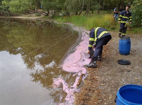 Rové zabarvení Kamenného rybníku v Plzni zpsobila bakterie.