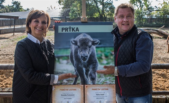 Kmotry malé zubří samičky Prťky se v den 86. výročí otevření pražské zoo stali...
