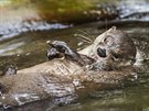 Soutní píspvek do fotosoute poádané Zoo Praha