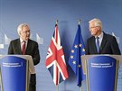 Michel Barnier (vpravo) a David Davis (28. záí 2017)