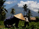 Sopka Agung na Bali hrozí erupcí. Úady evakuovaly pes sto tisíc lidí (29....