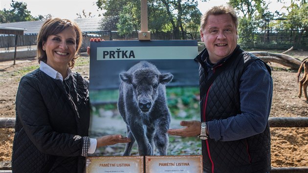 Kmotry mal zub samiky Prky se v den 86. vro oteven prask zoo stali herci Veronika Freimanov a Vclav Kopta. (28. 9. 2017)