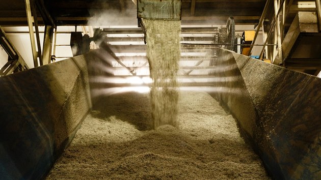 Z „odpadu“ z řepy se lisují cukrovarnické řízky a pelety, které využívají zemědělci pro výkrm dobytka.