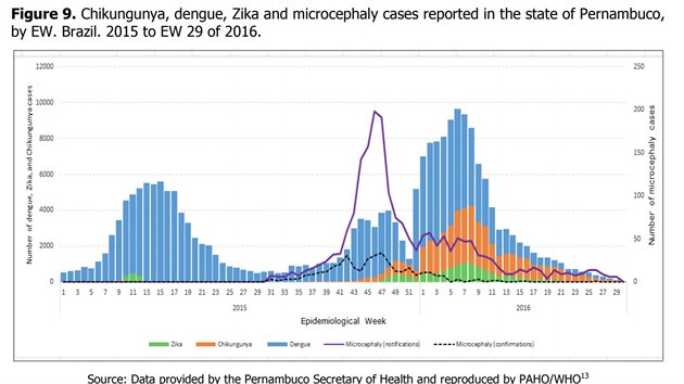 Poet ppad ziky (zelen), horeek chikunguya (oranov) a dengue v Brazlii bhem epidemie v letech 21015 a 2016. Plnou fialovou linkou jsou pak vyznaeny neoven a nahlen ppady mikrocefalie, rafovanou oven ppady. Jak je vidno, mikrocefalie se na vrcholu epidemie diagnostikovala velmi asto myln, na druhou stranu je patrn reln nrst ppad. A to pedevm u en, kter othotnly pedtm, ne se o zice zaalo skuten mluvit. Nasvduje to i tomu, e se lkai i samotn matky situaci dokzali pizpsobit a reagovat, a u napklad vasnou diagnostikou, nebo jednodue tm, e eny ukonily, i se vyhnuly thotenstv.