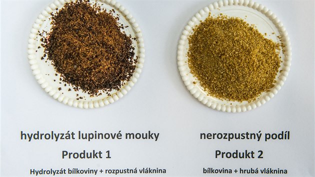 Vědci z Univerzity Hradec Králové představili dva potravinové doplňky vyrobené hydrolýzou z mouky rostliny lupina bílá neboli vlčí bob (19.9.2017).